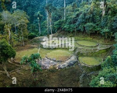 Versteckte antike Ruinen der Tayrona Zivilisation Ciudad Perdida im Herzen des kolumbianischen Dschungels. Luftaufnahme von oben. Verlorene Stadt Teyuna. Santa M. Stockfoto