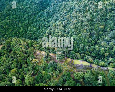 Versteckte antike Ruinen der Tayrona Zivilisation Ciudad Perdida im Herzen des kolumbianischen Dschungels. Luftaufnahme von oben. Verlorene Stadt Teyuna. Santa M. Stockfoto