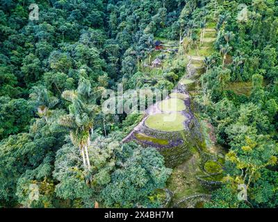 Versteckte antike Ruinen der Tayrona Zivilisation Ciudad Perdida im Herzen des kolumbianischen Dschungels. Luftaufnahme von oben. Verlorene Stadt Teyuna. Santa M. Stockfoto