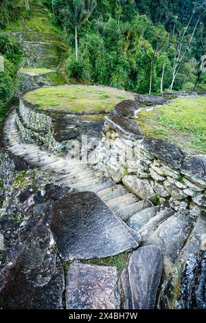 Versteckte antike Ruinen der Tayrona Zivilisation Ciudad Perdida im Herzen des kolumbianischen Dschungels verlorene Stadt Teyuna. Santa Marta, Sierra Nevada Mount Stockfoto
