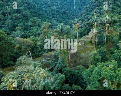 Versteckte antike Ruinen der Tayrona Zivilisation Ciudad Perdida im Herzen des kolumbianischen Dschungels. Luftaufnahme von oben. Verlorene Stadt Teyuna. Santa M. Stockfoto
