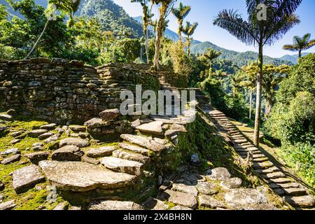 Steintreppen in versteckten antiken Ruinen der Tayrona Zivilisation Ciudad Perdida im Herzen des kolumbianischen Dschungels verlorene Stadt Teyuna. Santa Marta, Sierra Stockfoto