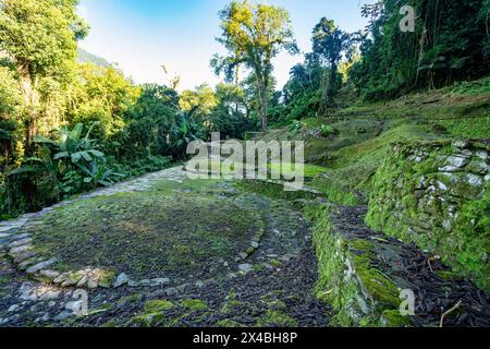Versteckte antike Ruinen der Tayrona Zivilisation Ciudad Perdida im Herzen des kolumbianischen Dschungels verlorene Stadt Teyuna. Santa Marta, Sierra Nevada Mount Stockfoto
