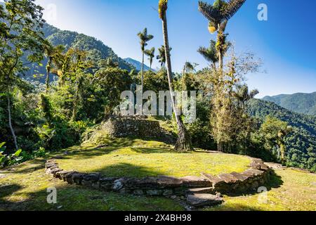 Versteckte antike Ruinen der Tayrona Zivilisation Ciudad Perdida im Herzen des kolumbianischen Dschungels verlorene Stadt Teyuna. Santa Marta, Sierra Nevada Mount Stockfoto