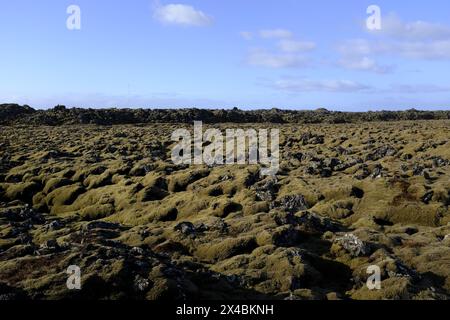 Landschaft auf der Halbinsel Reykjanes, südlich von Island Stockfoto