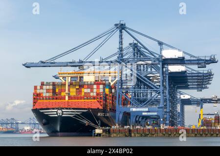 MSC Loreto, das größte Schiff der Welt seit dem 1. Mai 2024, Hafen Felixstowe, Suffolk, England, Vereinigtes Königreich Stockfoto