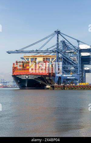 MSC Loreto, das größte Schiff der Welt seit dem 1. Mai 2024, Hafen Felixstowe, Suffolk, England, Vereinigtes Königreich Stockfoto