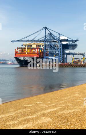 MSC Loreto, das größte Schiff der Welt seit dem 1. Mai 2024, Hafen Felixstowe, Suffolk, England, Vereinigtes Königreich Stockfoto