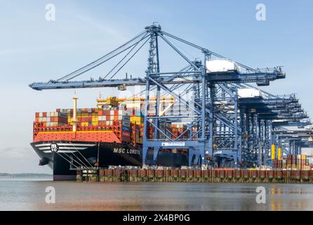 MSC Loreto, das größte Schiff der Welt seit dem 1. Mai 2024, Hafen Felixstowe, Suffolk, England, Vereinigtes Königreich Stockfoto