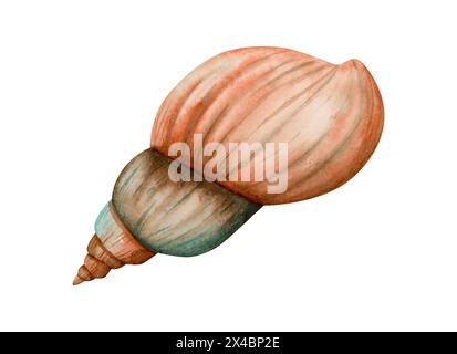 Spiralförmige Meeresschalen-Aquarellillustration. Einfarbige Süßwasserschneckenmuschel in orange und braunen Farben Clipart Stockfoto