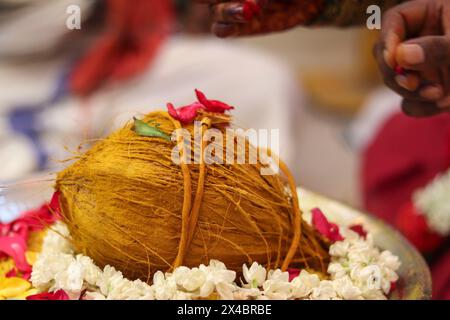 Hinduistische indische Hochzeitszeremonie mit Kokosnuss, gelben Blumen Stockfoto