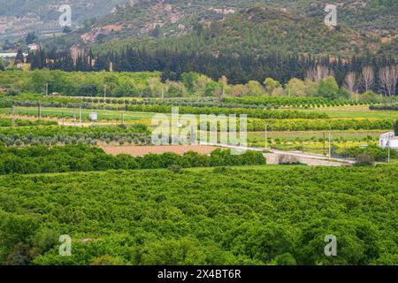 Luftaufnahme von Obstgärten und Feldern in Antalya Aspendos Stockfoto