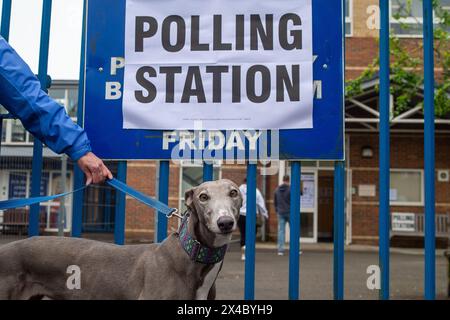 Hillingdon, Großbritannien. Mai 2024. Ava, ein 7-jähriger Rettungs-greyhound posiert für ein Foto vor einer Wahlstation in Hillingdon. Die Wähler waren in Hillingdon im Londoner Stadtteil Hillingdon unterwegs und gaben ihre Stimmen für die Wahl zum Londoner Bürgermeister ab. Die konservative Kandidatin Susan Hall sagte, dass sie das umstrittene ULEZ-System für die Ultra Low Emission Zone abschaffen werde, wenn sie anstelle des derzeitigen Bürgermeisters Sadiq Khan gewählt werde. Wähler, die persönlich und nicht per Post abstimmen, müssen einen Identitätsnachweis mitbringen, um wählen zu können. Quelle: Maureen McLean/Alamy Live News Stockfoto