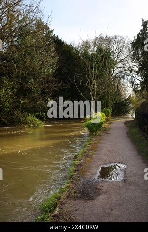 Der Avon River fließt durch Salisbury, England Stockfoto