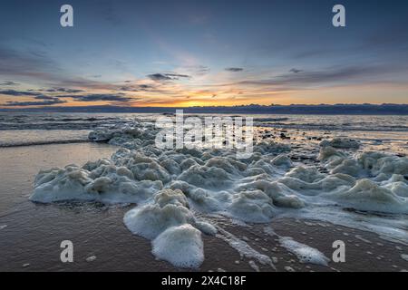 Meeresschaum sprudelt am Strand von den Helder in der Nähe eines Piers bei einem farbenfrohen Sonnenuntergang. Schaum auf Meerwasser, gebildet von toten Schleimalgen, wäscht den Strand Stockfoto