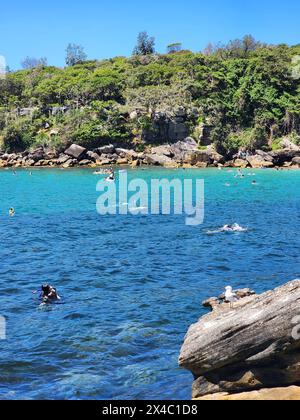 Menschen schwimmen im Meer am Shelly Beach in Sydney, Australien an einem sonnigen Tag, mit einer Möwe auf dem Felsen, die alles beobachtet. Stockfoto