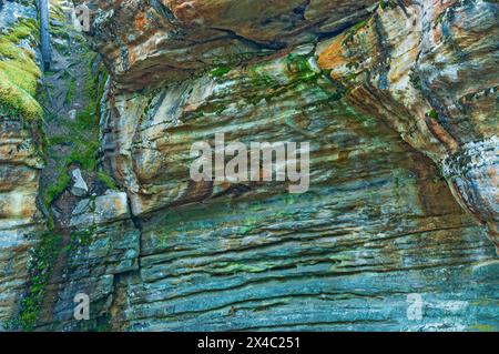 Kanada, Alberta, Jasper National Park. Farbenfrohe Details der Schluchtwand an den Athabasca Falls. Stockfoto
