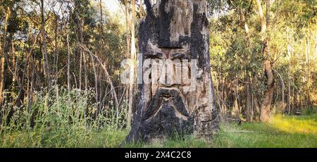 Ein Baumstamm, der vom Feuer zerschnitten und verbrannt wurde, verwandelte sich in eine Totemkunst mit einem geheimnisvollen und ernsten einheimischen Gesicht, mitten im Wald auf der si Stockfoto