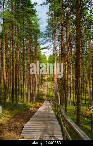 Finnland, Nord-Ostrobothnia, Rokua-Nationalpark. Treppe auf dem Weg Stockfoto