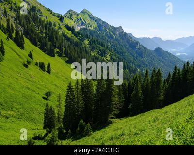 Blick auf die große Klammspitze und das Tal der Ammer. Naturpark Ammergauer Alpen in den nördlichen Kalkalpen Oberbayerns. Stockfoto