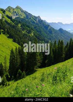 Blick auf die große Klammspitze und das Tal der Ammer. Naturpark Ammergauer Alpen in den nördlichen Kalkalpen Oberbayerns. Stockfoto