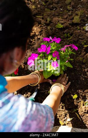 Eine Indianerin, die Armreifen trägt und Blumen im Freien pflanzt. Blau-weiß-Outfit mit Fokus auf Gartenarbeit, inmitten üppiger Grünflächen, unveränderlich Stockfoto