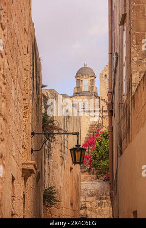 Mdina, Malta. Alte ummauerte Stadt, enge Kalksteinmauern, Kirchenkuppel, Bougainvillea und ein Leuchtenpfosten. Stockfoto
