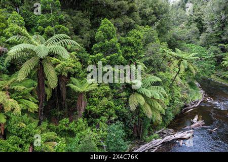 Blick auf den Tangarakau River von einer Brücke über den Forgotten World Highway, North Island, Neuseeland Stockfoto