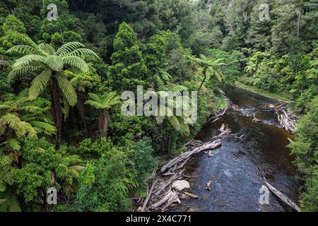 Blick auf den Tangarakau River von einer Brücke über den Forgotten World Highway, North Island, Neuseeland Stockfoto