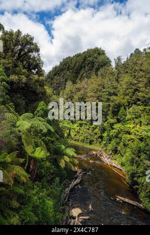 Blick auf den Tangarakau River von einer Brücke über den Forgotten World Highway, North Island, Neuseeland Stockfoto