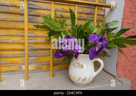 Irisblumen und grüne Lorbeerblätter in einem alten weißen Krug über den alten gelben Holzläden. Rustikaler Blumenhintergrund Stockfoto