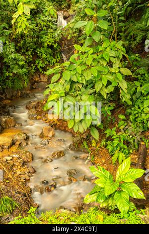 Costa Rica, Parque Nacional Carara. Kleine Stromschnellen und Vegetation. Stockfoto