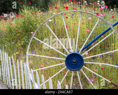 USA, Alaska. Weiße Pfostenzaun-Linie und altes Wagenrad in einem Wildblumenfeld. Stockfoto