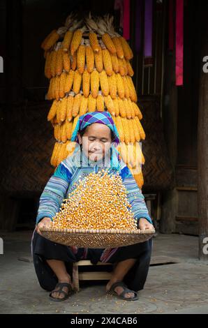 Hmong-Frau, die Mais in Bac Ha in der Provinz Lao Cai, Vietnam winkt Stockfoto