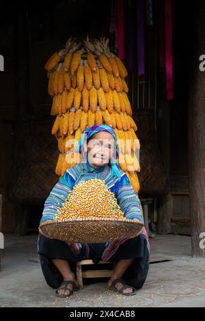 Hmong-Frau, die Mais in Bac Ha in der Provinz Lao Cai, Vietnam winkt Stockfoto