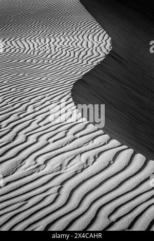 USA, Kalifornien, Central Coast, Oceano. Sandkurven im Pismo State Beach Dune Preserve Stockfoto