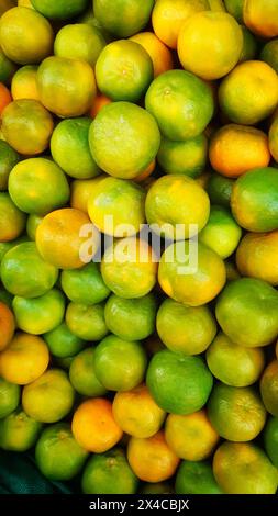 Frische reife Orange auf dem Markt. Kiste reifer Mandarinen. Blick von oben. Ein Haufen Orangenfrüchte im Laden. Haufen Orangenfrüchte. Orangenhaufen für den Verkauf auf dem Markt. Stockfoto