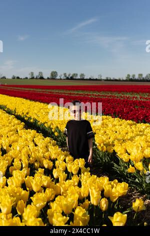 Blühende Tulpenfelder. Touristenausflug. Junge in Tulpen. Hochwertige Fotos Stockfoto