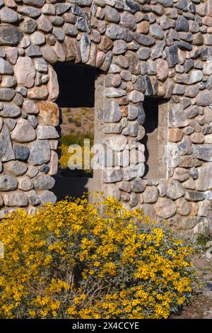 Mission Creek Preserve, Colorado Desert, Kalifornien Stockfoto