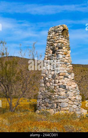 Mission Creek Preserve, Colorado Desert, Kalifornien Stockfoto