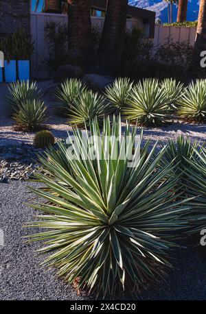 Palm Springs, Haus der Moderne Stockfoto