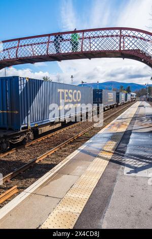 Der britische Supermarkt-Gigant Tesco bringt mit 40-Fuß-Stahlcontainern frische Produkte über den Bahnhof Aviemore an sein Ufer. Stockfoto