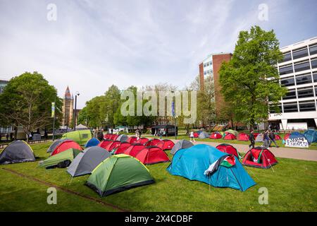 Manchester, Großbritannien. Mai 2024. Mehr als 50 Studenten der Universität Manchester haben sich in Solidarität mit Palästinensern, die sich in Gaza einem Völkermord ausgesetzt sehen, in Lager genommen. Sie fordern, dass die Universität ihre Partnerschaft mit BAE Systems und anderen Rüstungsunternehmen beendet, ihre Beziehungen zur Tel Aviv Universität und der Hebräischen Universität Jerusalem abbaut, jegliche unethische Forschung beendet und keine Disziplinarmaßnahmen gegen Studenten ergriffen. Quelle: GaryRobertsphotography/Alamy Live News Stockfoto