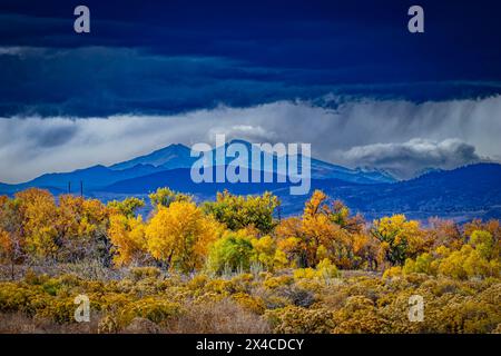 USA, Colorado, Fort Collins. Sturmwolken über Bergen und Herbstwald. Stockfoto