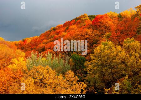 USA, Minnesota, Mendota Heights. Herbstfarbe, Ivey Falls Valley Stockfoto