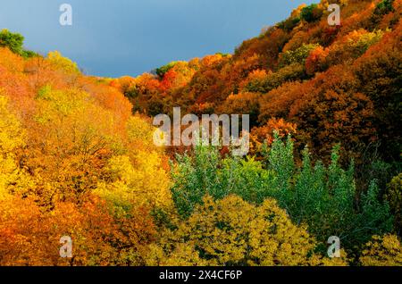 USA, Minnesota, Mendota Heights. Herbstfarbe, Ivey Falls Valley Stockfoto