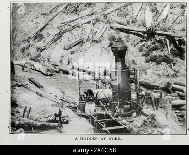 Ein SKIDDER BEI DER ARBEIT aus dem Artikel The Logging Industry in California von William Adams. Vom Engineering Magazine gewidmet dem industriellen Fortschritt Band XVI Oktober 1898 bis März 1899 The Engineering Magazine Co Stockfoto