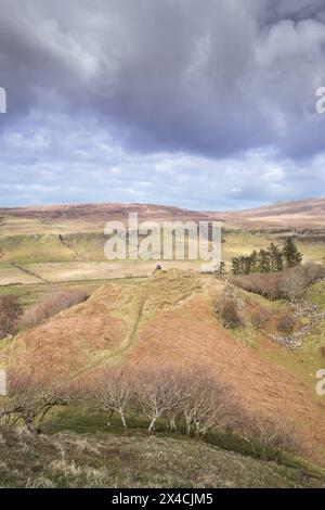 The Fairy Glen, eine geographische Formation aus Kalkstein, Uig, auf der schottischen Isle of Skye. Stockfoto