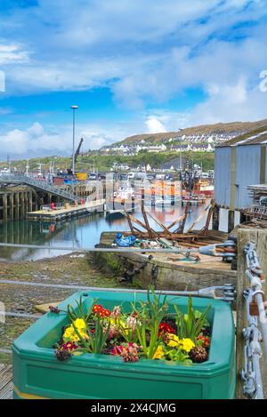 Blick nach Nordwesten zum Hafen von Mallaig am Mallaig Pier. WESTERN Highlands, Schottland, Großbritannien Stockfoto