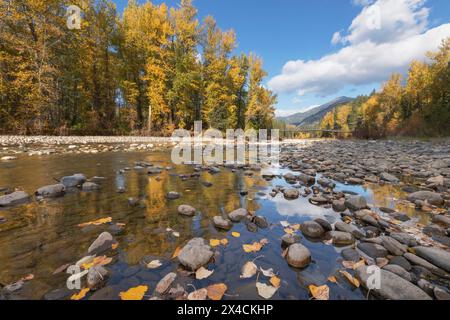 Tawlks-Foster Suspension Bridge und Herbstlaub entlang des Methow River bei Mazama, Washington State. Stockfoto